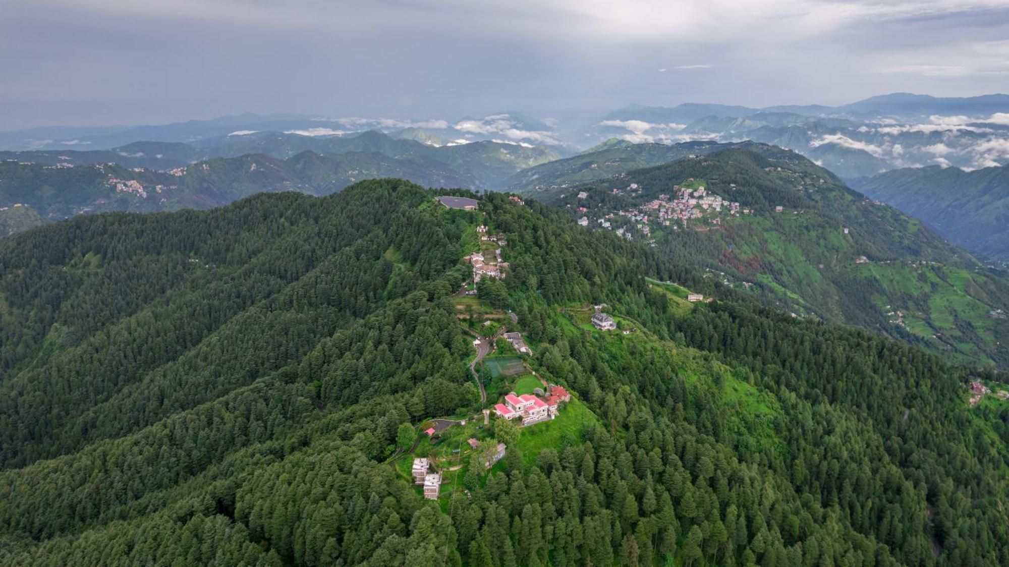 Cedar Hill Lodge - A Boutique Homestay マショブラ エクステリア 写真