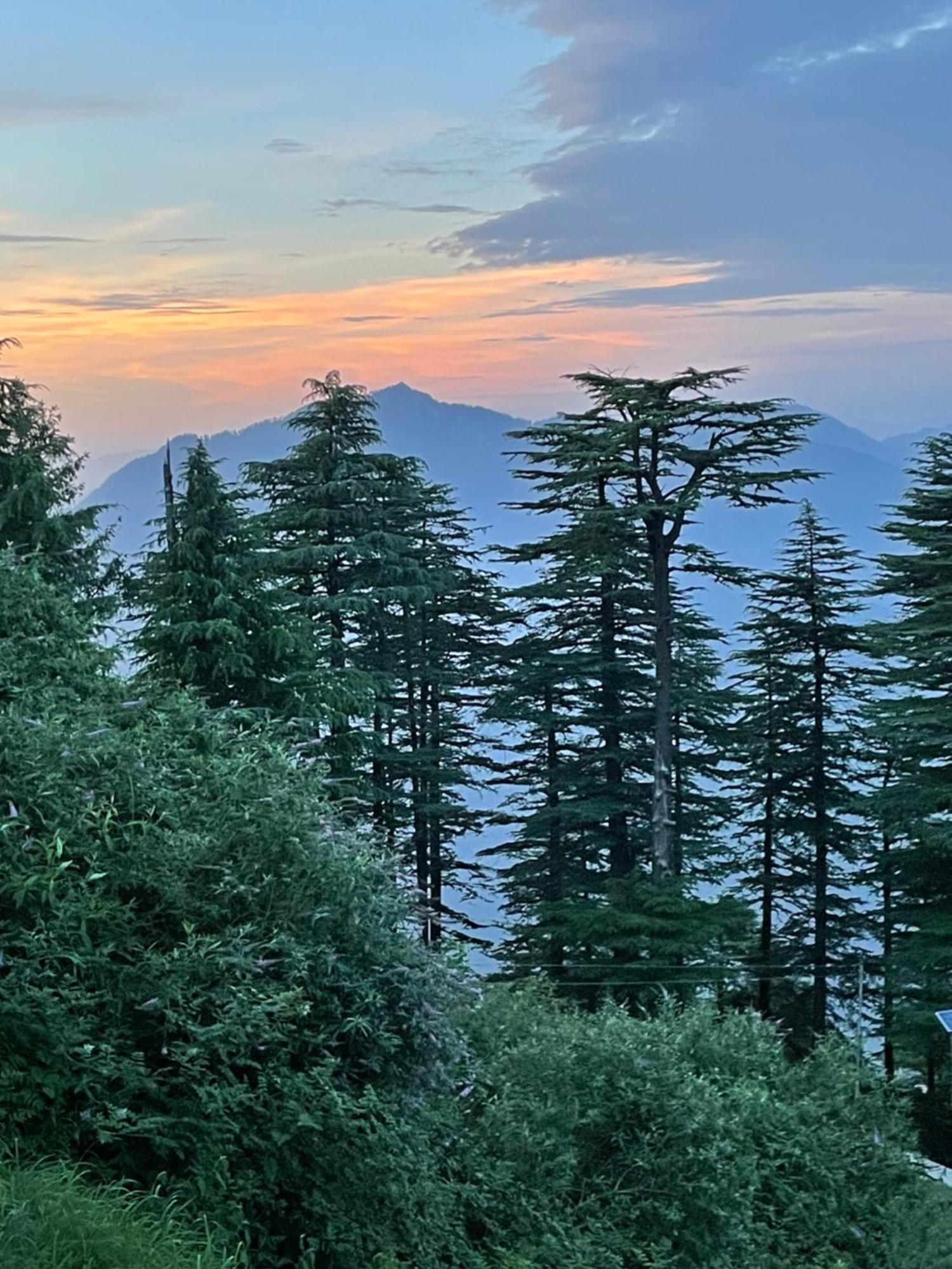 Cedar Hill Lodge - A Boutique Homestay マショブラ エクステリア 写真