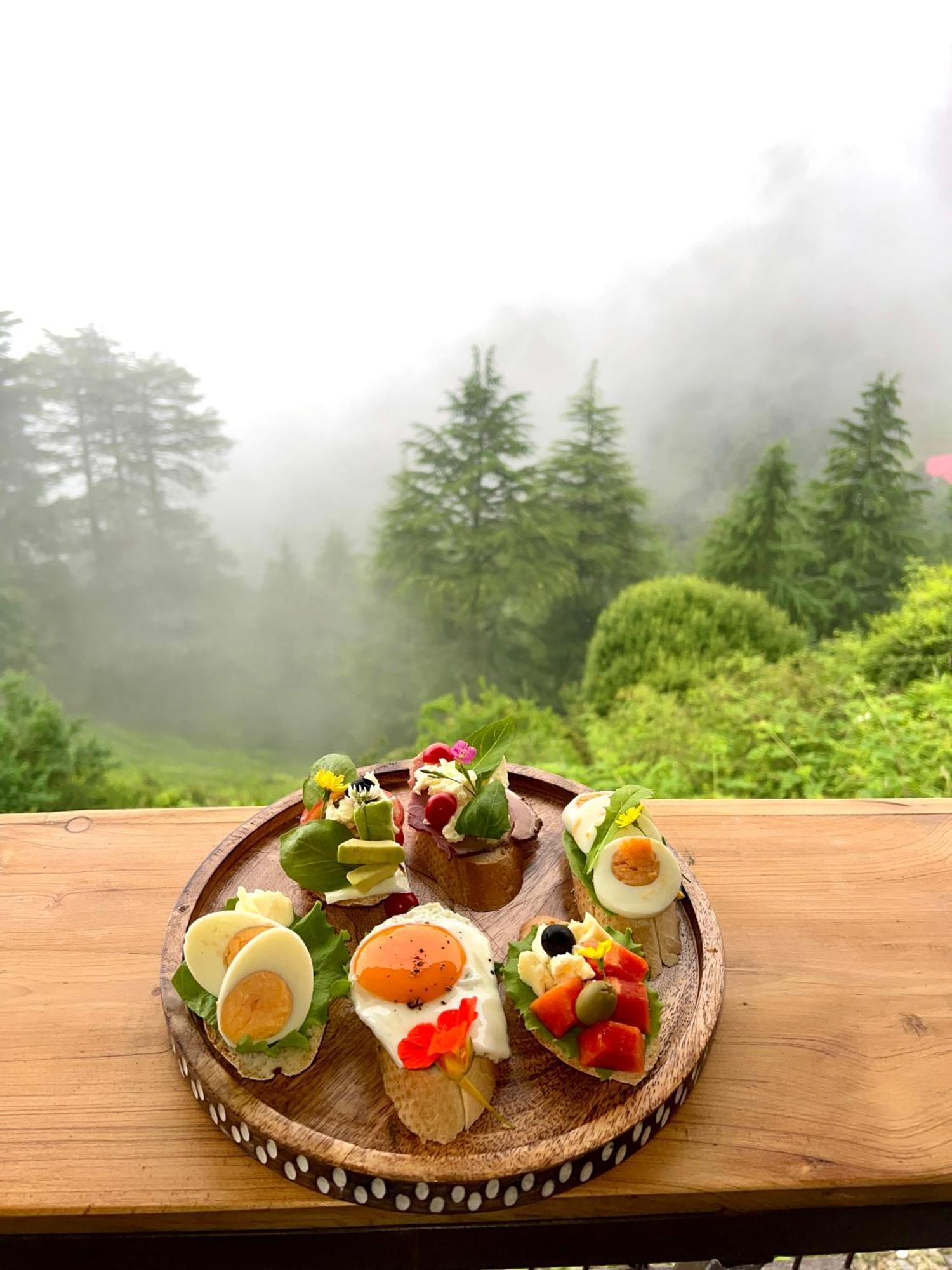 Cedar Hill Lodge - A Boutique Homestay マショブラ エクステリア 写真